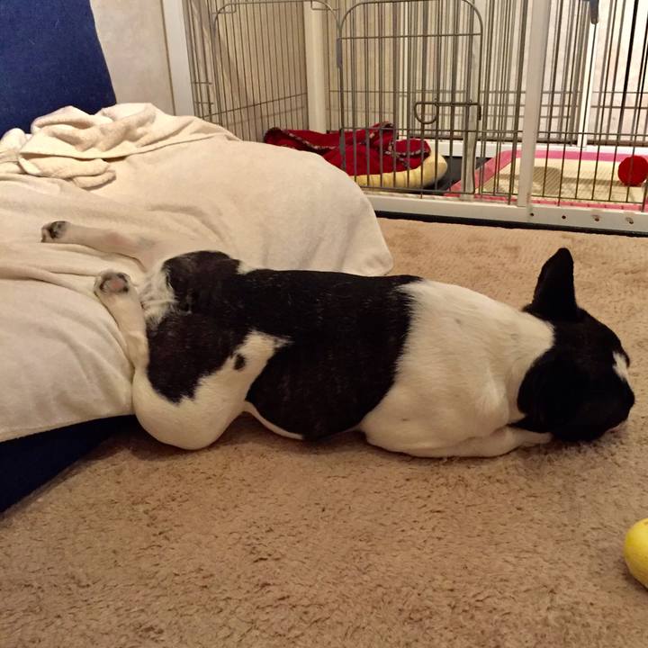 Af152c09 ffcb 44e7 97b5 6d4cc89676e9 1526942465560