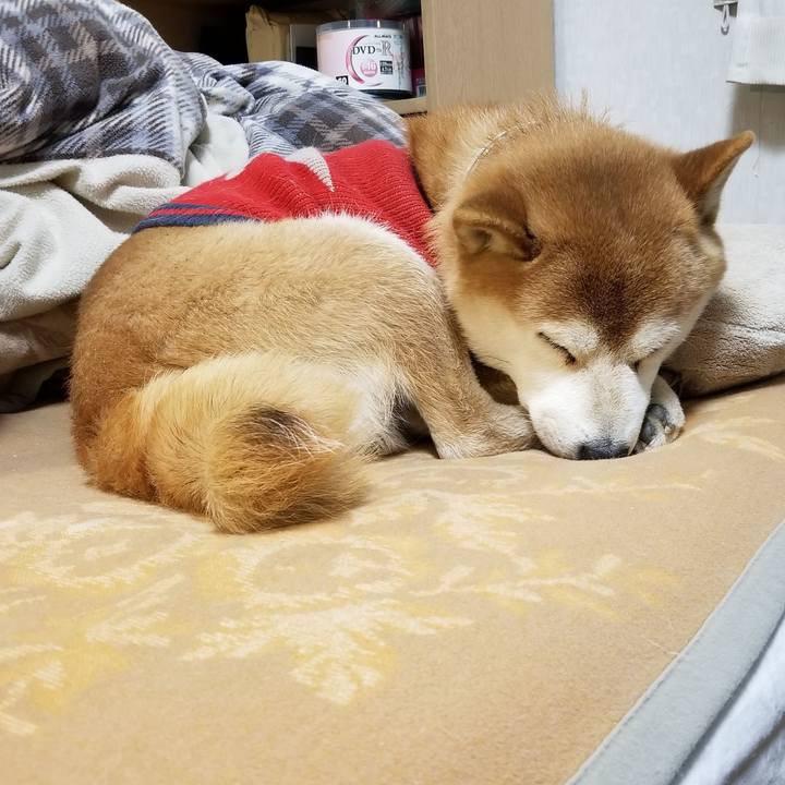 Af158677 8fa6 4f56 a2d0 2924ef186ce3 1613824051671