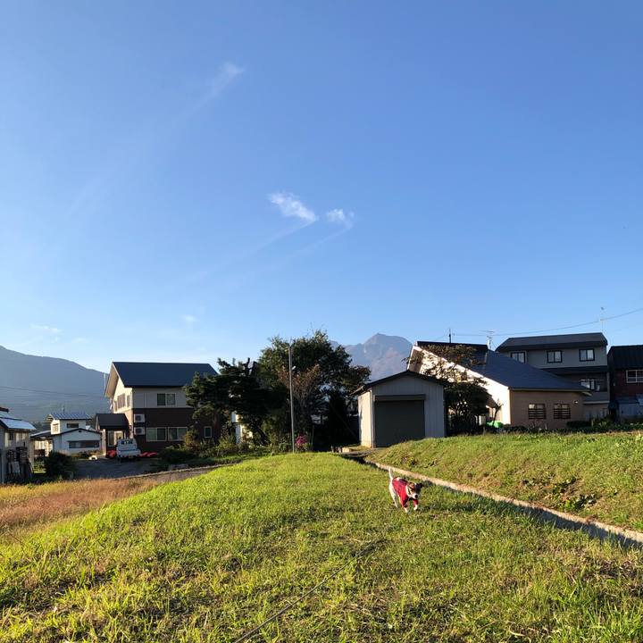 Af1592c9 c328 4564 b5d8 2d488747bbd5 1603274319439