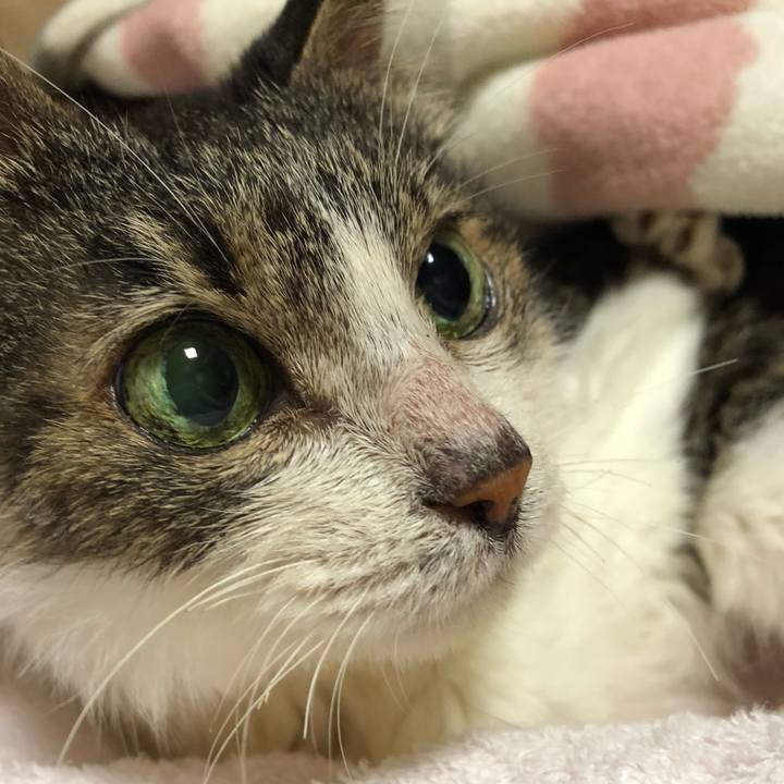 Af159636 ad30 4925 b505 c692927c7436 1532134826341