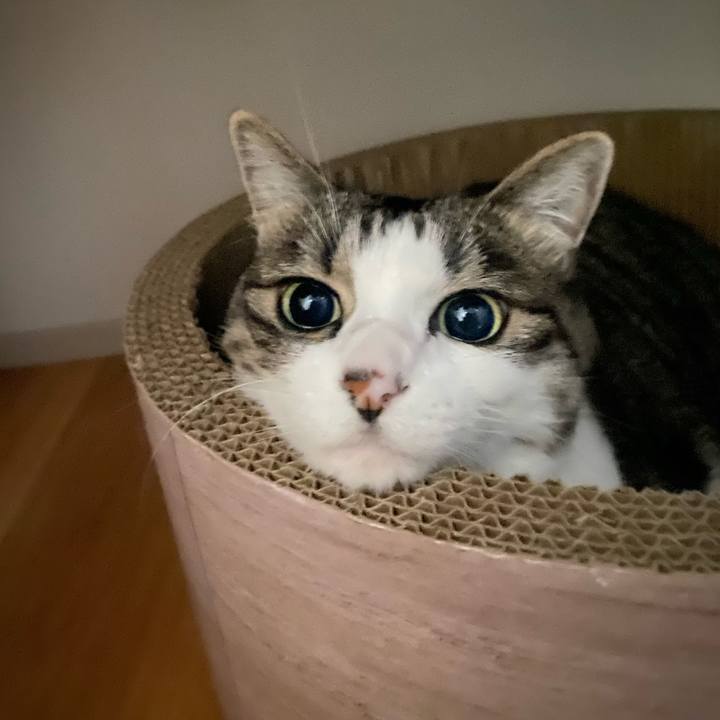 Af15a54f 05d7 42f0 a935 01b79685447a 1751360326209