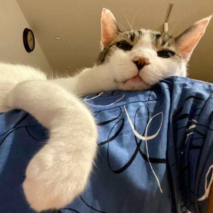 Af1619da ec18 4faa baae 4204c9a608ca 1660658440224