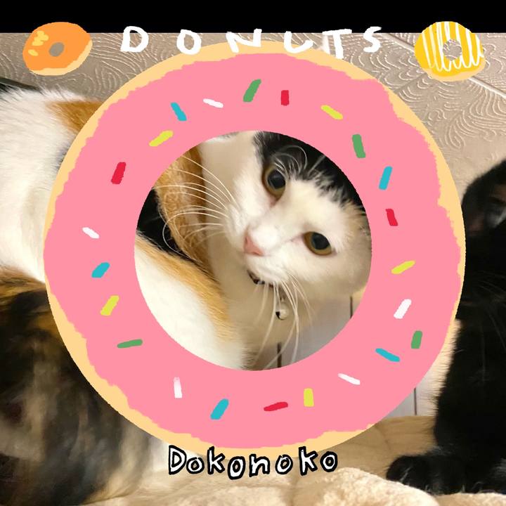 Af161e13 2867 4512 a57a 568d3d6d3abb 1744292385866