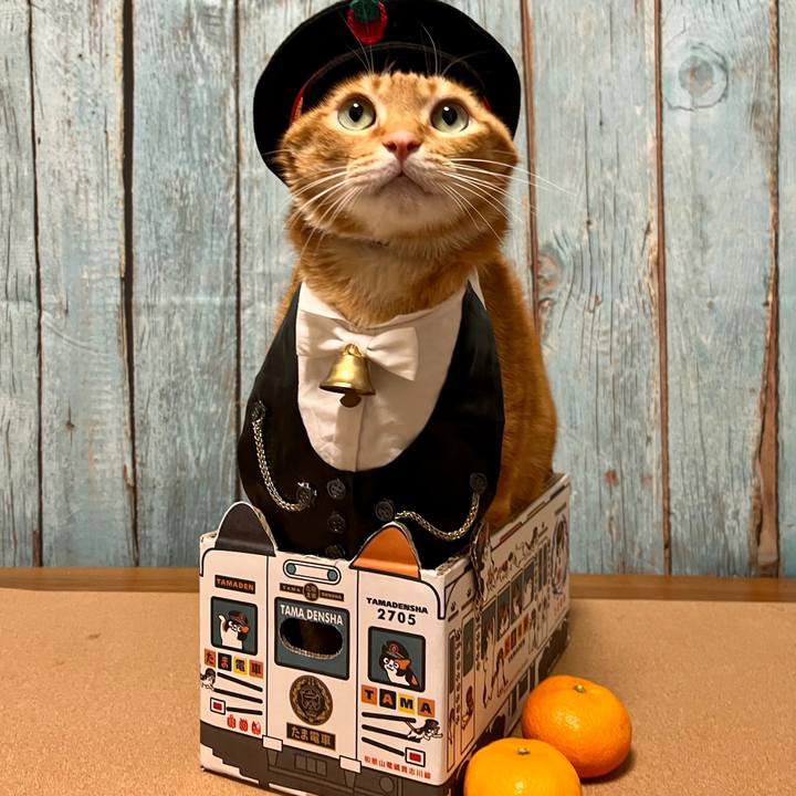 Af164b70 852c 42b3 8102 8db875367a54 1672228165857