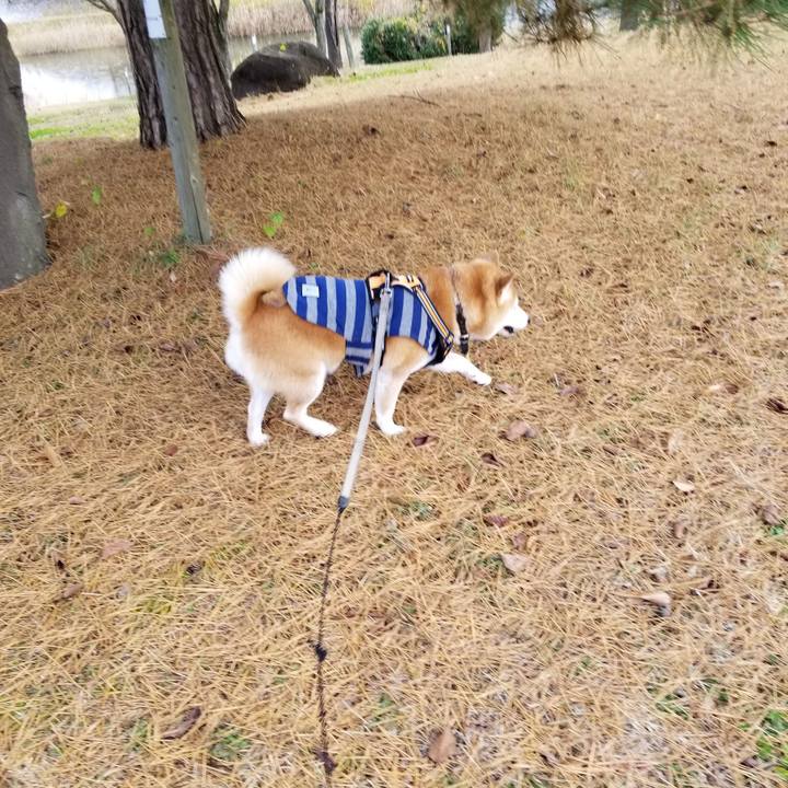 Af165474 800b 40e5 bbd5 c4f61bcd926f 1637898426046