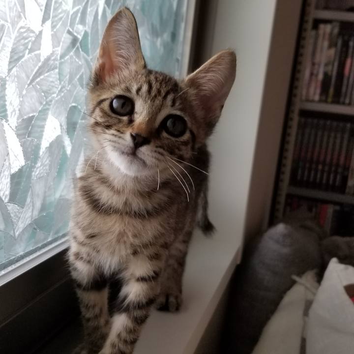 Af165f34 d739 4cc4 b5df 6f50042f3a65 1535211058445