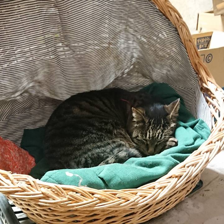 Af167793 040f 44ed be28 7846f655328b 1642421955476