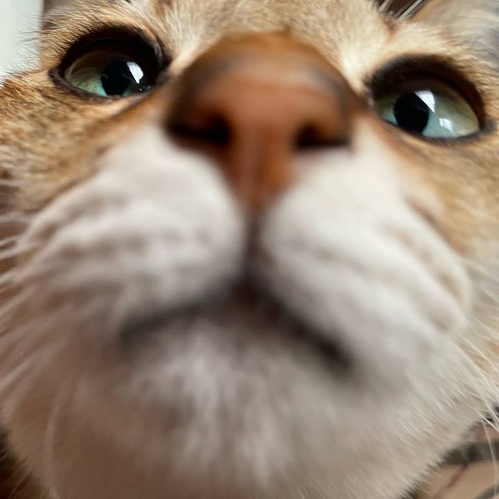 Af167b82 f3b0 4862 875b 7fe2fc376014 1673233633423