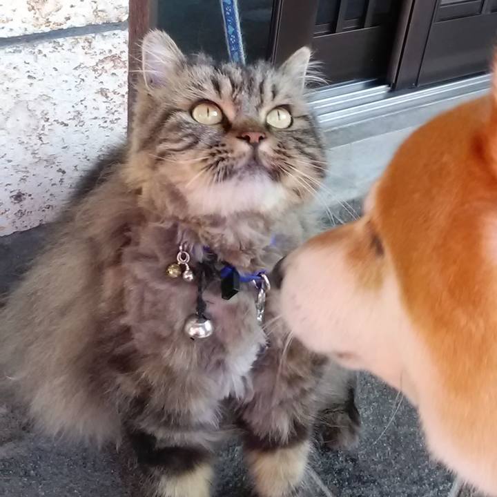 Af16943b 42bd 4a6a 8dce 6f254d706382 1656245194820