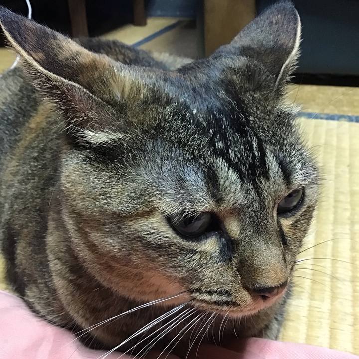 Af16a892 ffb1 4909 bf7a 4314d5641799 1690550363622