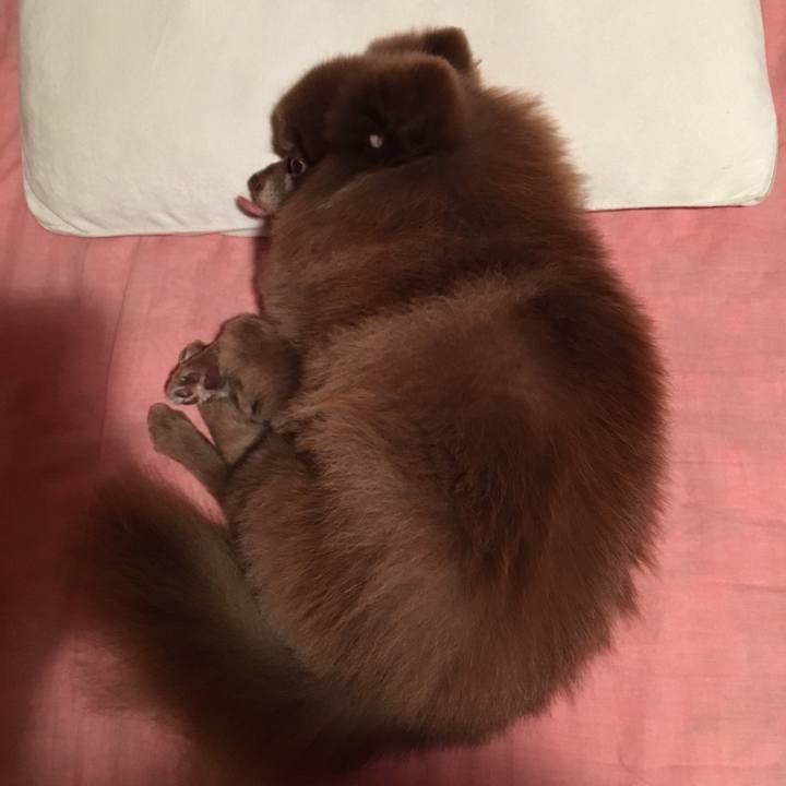 Af16bc2e 9234 4c7f ad0b c34f08185b81 1526216428323