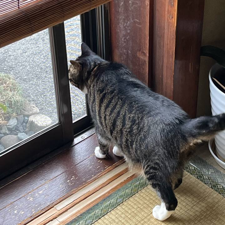 Af16c4e1 06fe 4b29 bfe8 431f6c25bb1c 1775172126308