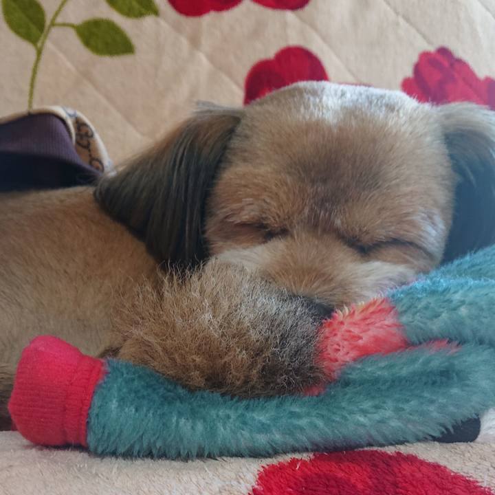 Af16d538 b73c 4580 a8c0 8efc65c5fc3c 1544403121093