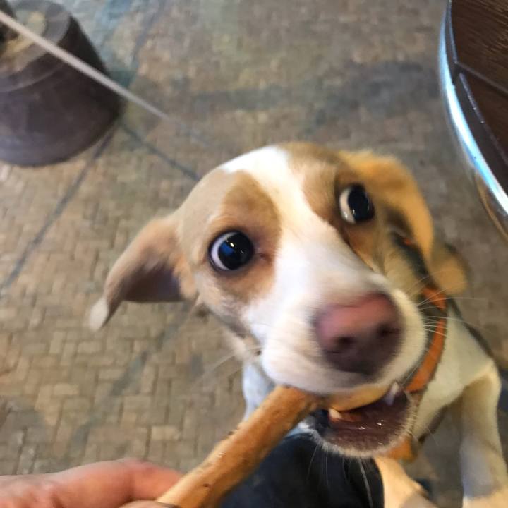 Af16ed9f 0c4e 4fe1 890b 8db4ddc224f5 1559469360096