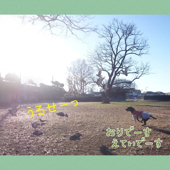 Af16fe96 b2ba 4a8f 9828 61b6dafd6c4e 1703297401903