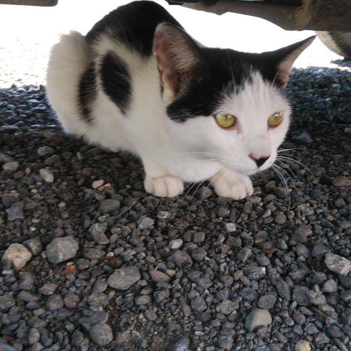 Af171ab9 6b7d 42d3 9cb5 3a1b7589536c 1601639444498