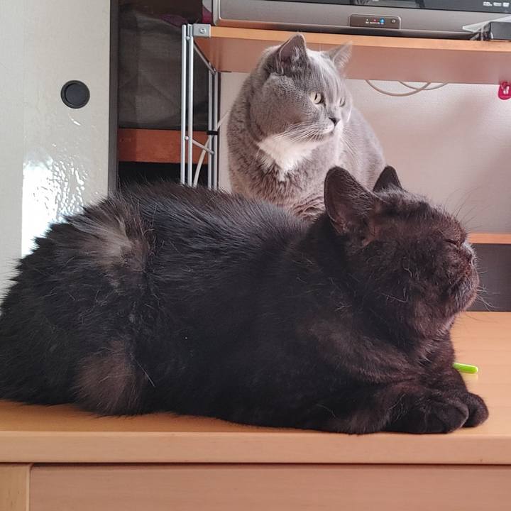 Af177763 fa5b 4819 b770 24cf0aa58051 1637626794857