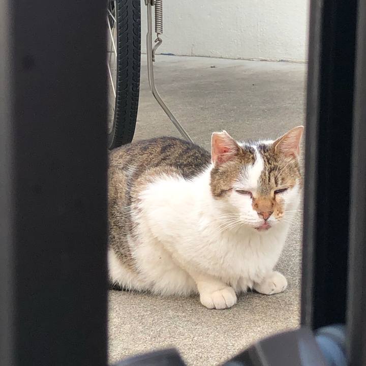 Af1790aa 80de 4c9d af50 05cd91ade396 1566718444222