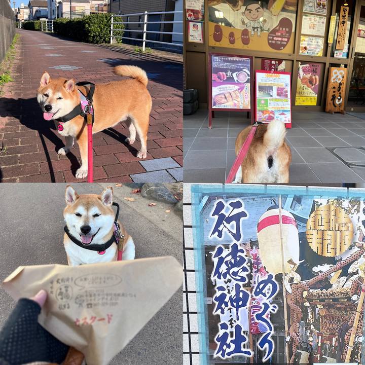 Af17c67a 5f02 4896 9896 10c954bb3fde 1667463781082