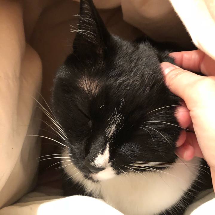 Af17cbc8 1c3b 4efd b270 9af8b9166ad0 1513807664400