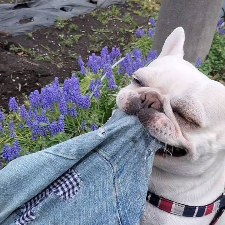 Af17dd32 7030 4f88 ab0d 2605b3716de0 1679628337884