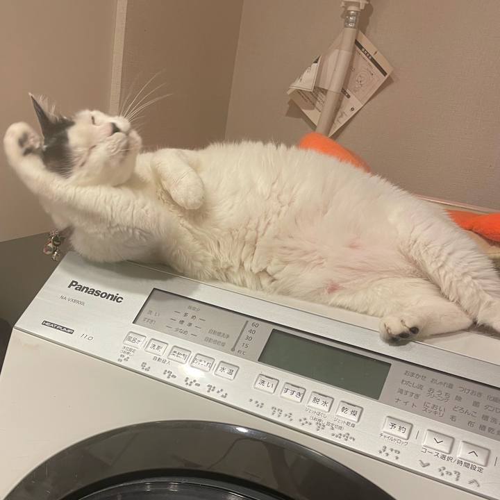 Af17e076 f84b 4722 9235 267976f9dc0b 1723118901904