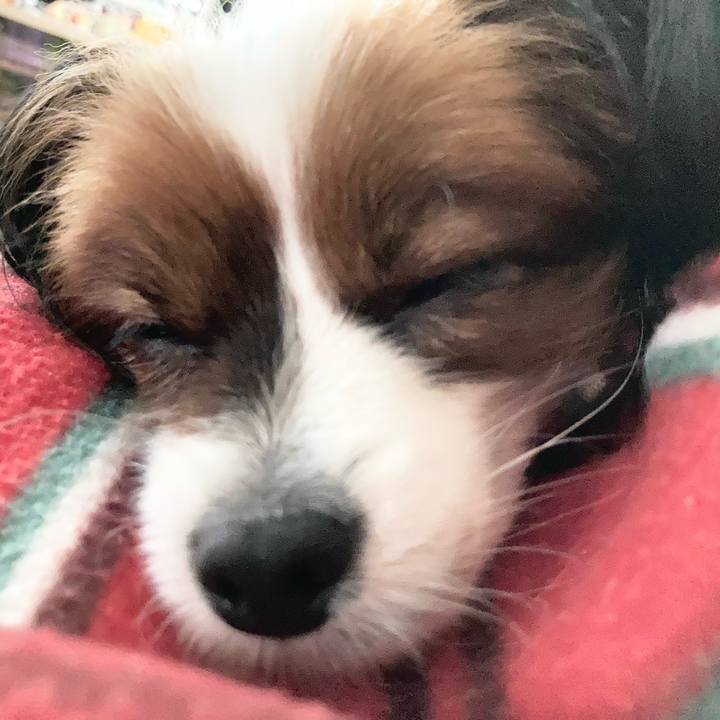 Af183cdc beb6 4ca0 86e4 8adf8e59c0fc 1636415565212