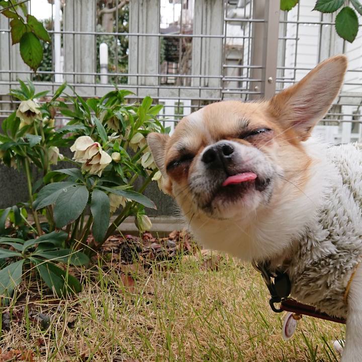 Af188b1b bcd0 443f 8b29 15e40b3afaf8 1551931290315