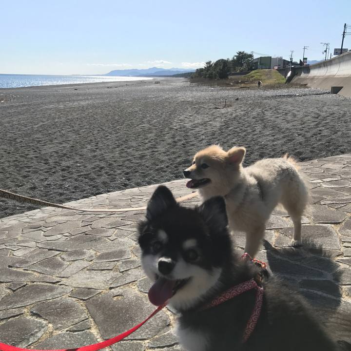 Af18d671 6f8f 411f 85c7 6f3dfea2d1f6 1573644201377