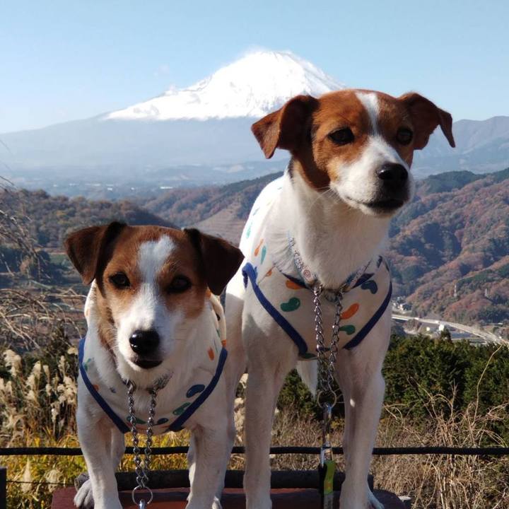 Af18efb9 83e1 4df7 ba71 de6f1a900efc 1764403133076