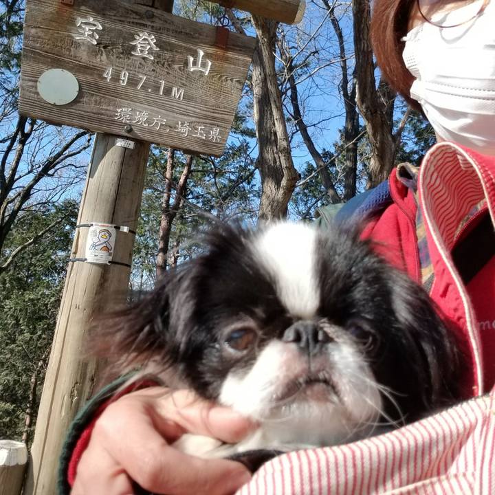 Af192de0 a6e6 446c b271 b8642dd81f41 1641634417216