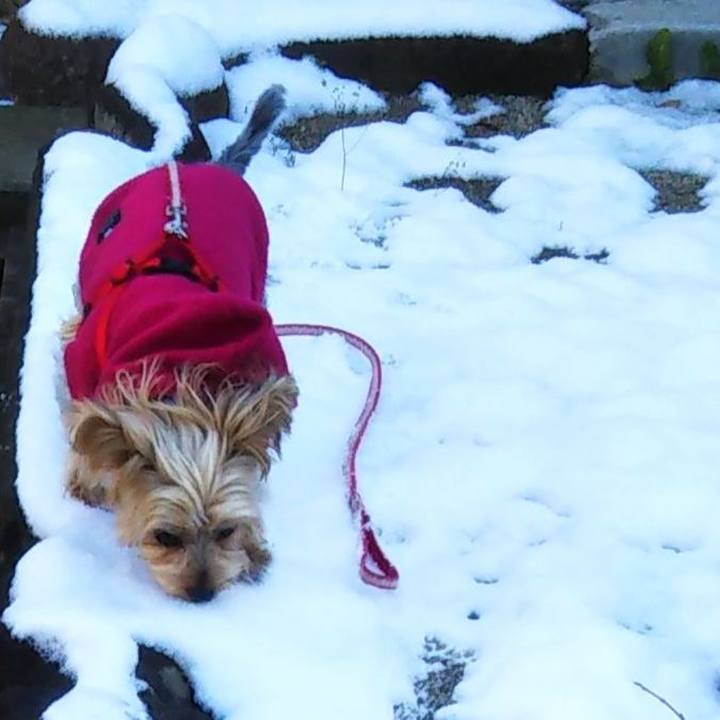 Af199e8f d581 4916 8e6b da971ad6be03 1640584643385