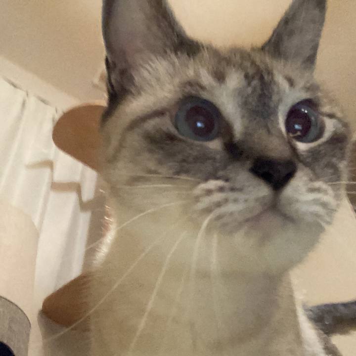 Af19ab0c 72b4 4c28 9192 fff394296945 1634041891375