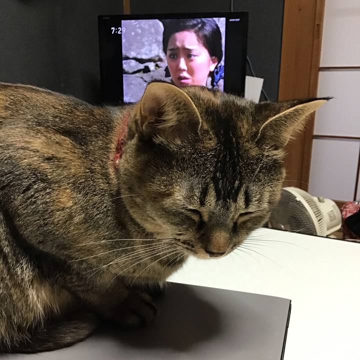 Af19c31c daba 450c a4b8 aad52122c490 1633047753005