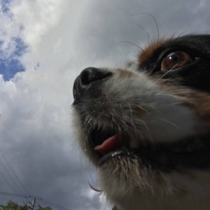 Af1a107e 1ee9 4301 87ef 2eb15343ea56 1508370724590