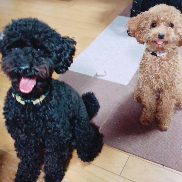 Af1a253a 9fcd 4ae6 918e e5c83ca869cf 1508926029823