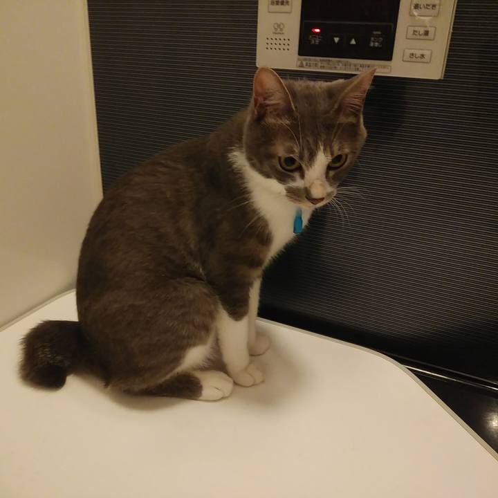 Af1a67b4 53a4 4634 ac96 0430d86c5eb0 1592401985298