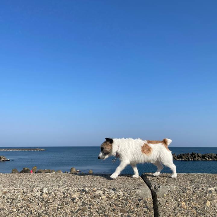 Af1a6e30 58e3 4b2d 8de4 b407fecf04e2 1650413755433