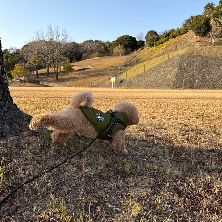 Af1a7d4a 773f 4775 a196 789d28b5644a 1768381335103