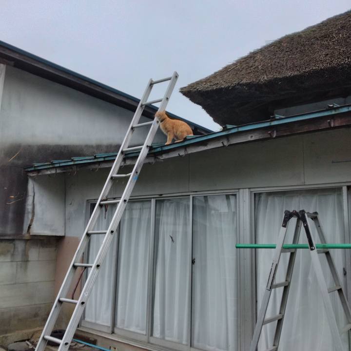 Af1a860f d2e5 4c26 8791 7a87cfd7ba4f 1694211930272