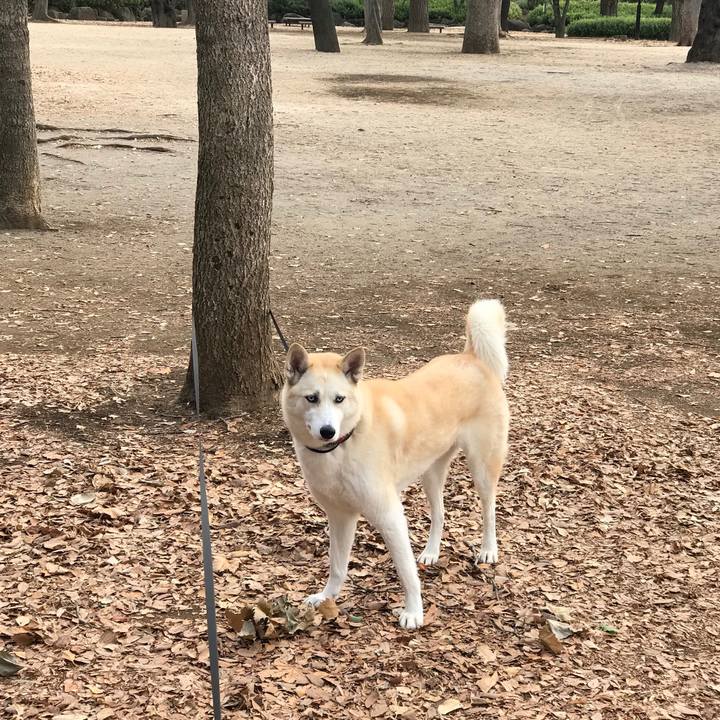 Af1a9a05 0af6 43e3 8472 f7d7b985ad7d 1515716088124