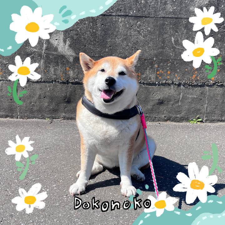 Af1abff7 b2bb 4143 8817 174cef0ad36a 1712200521348