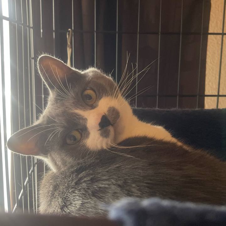 Af1ac1df 695a 4d3c 98b3 25aeb8d0095f 1655603644178