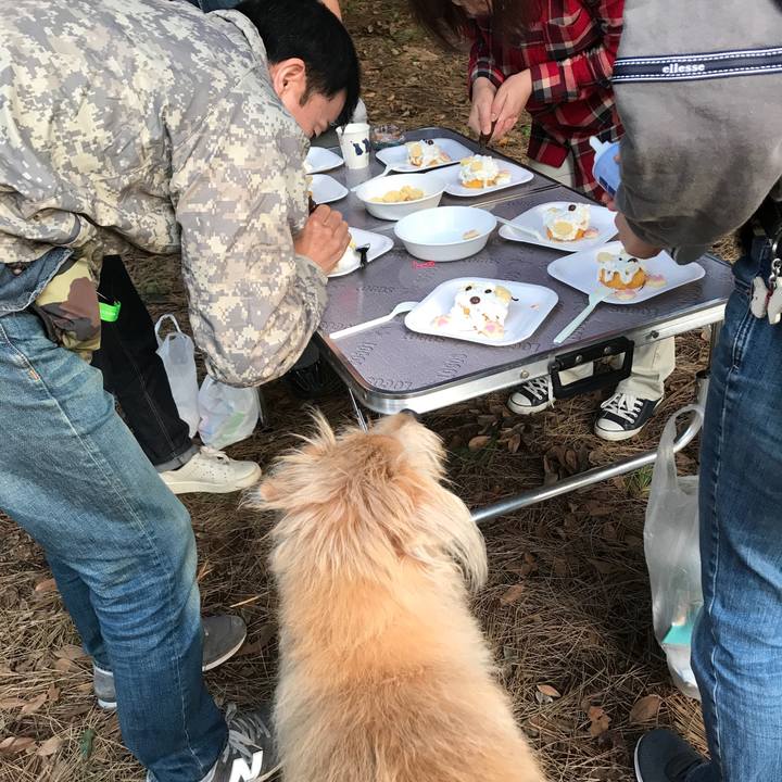 Af1ad711 03da 48f2 8d0c 82944af238e1 1572923901380