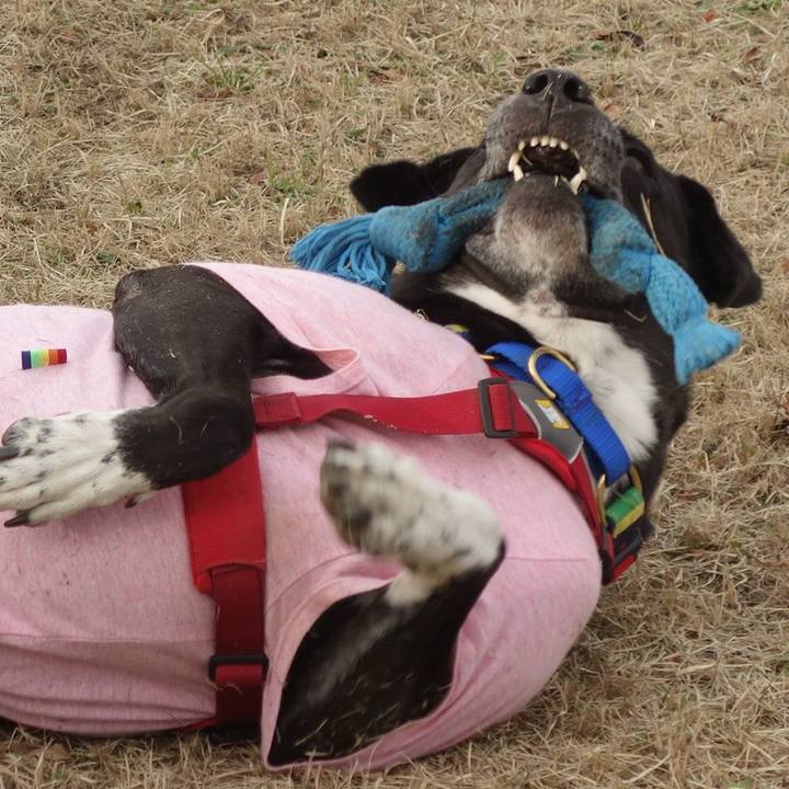 Af1b7e54 2d97 469d 9fb3 2a8c03f87221 1671242752017