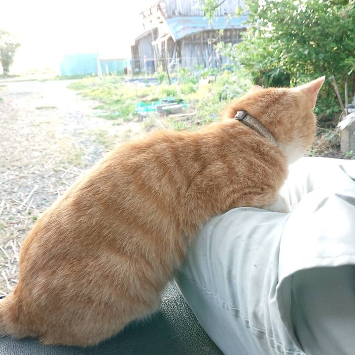 Af1b89e3 106d 4e24 8bfd 3ed74ff43133 1592252457857