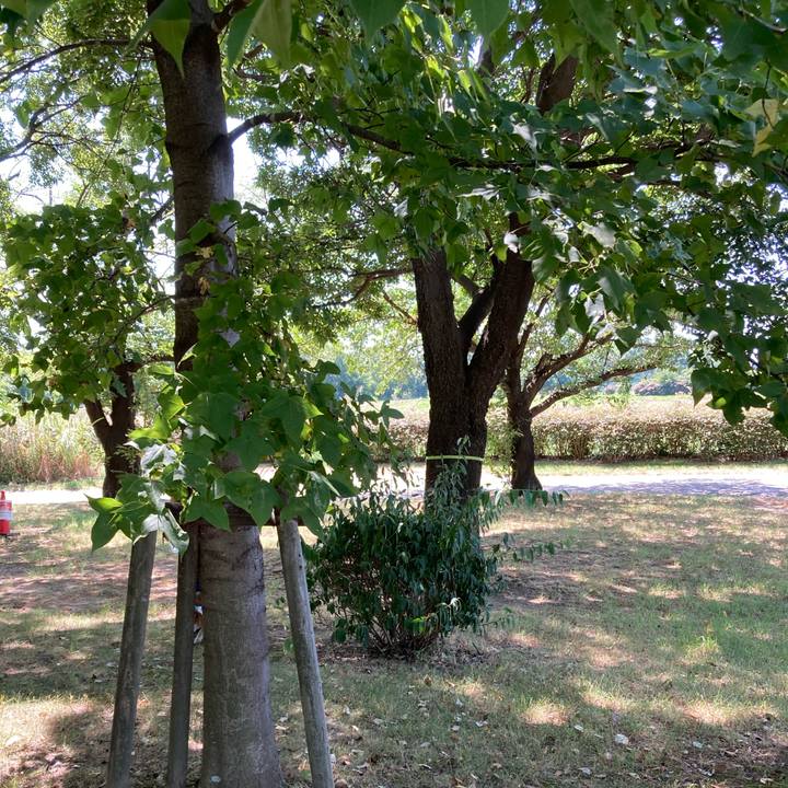 Af1b8f22 1b25 4aa8 9f98 1542d6d49dd7 1690169230128