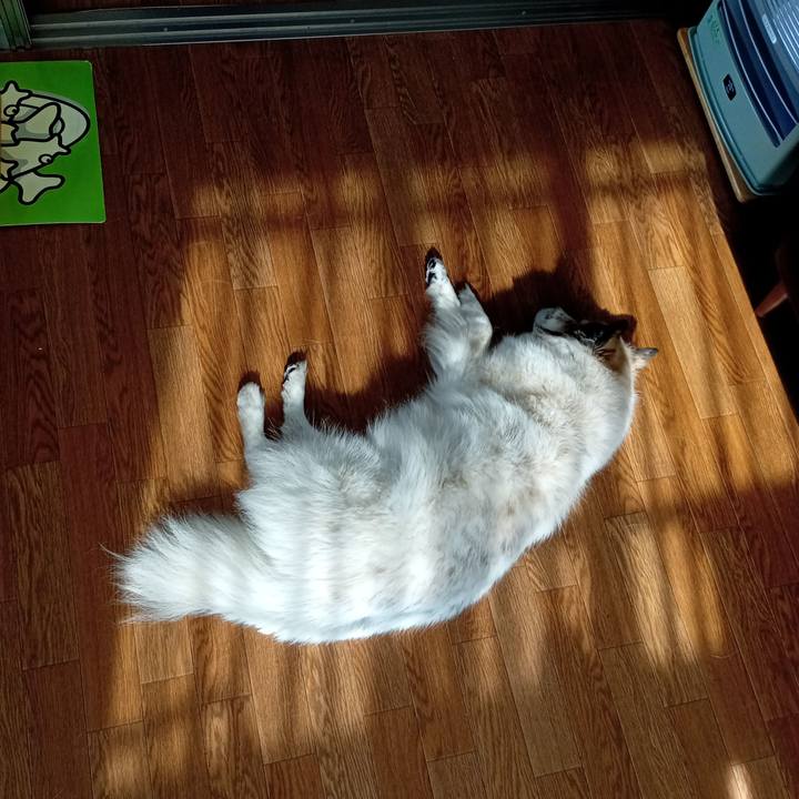 Af1b8f97 8e5e 4706 a23a 436a00f0b566 1676896836967