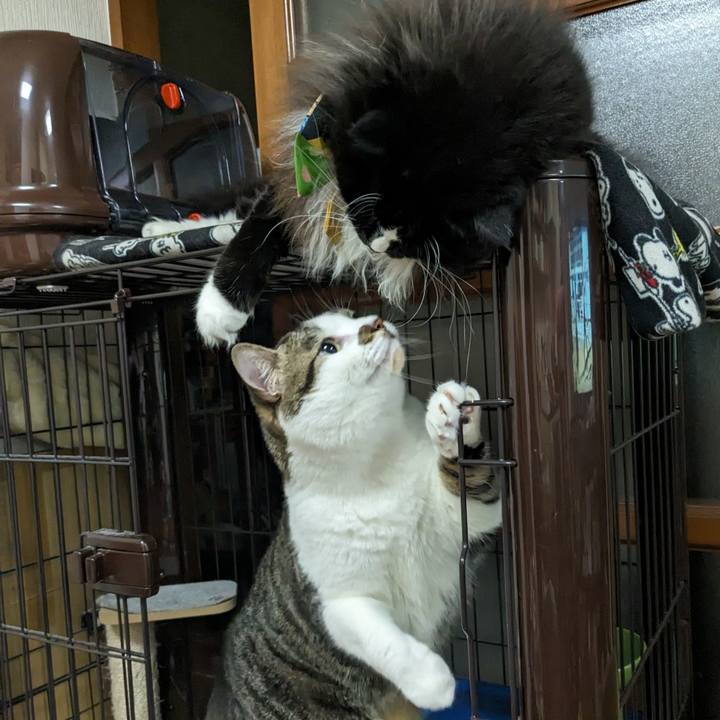 Af1c16b4 30cb 4376 a735 7a62283db41e 1695906870507