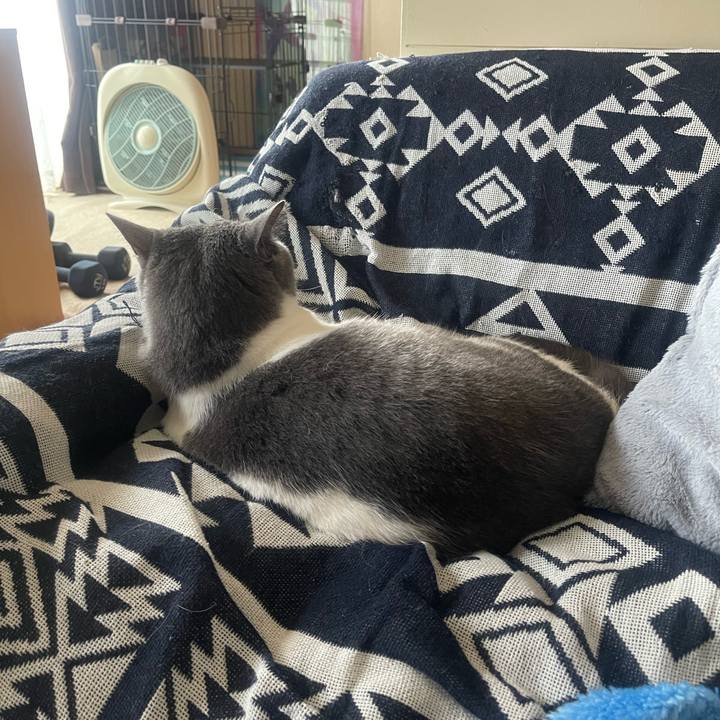 Af1c19a2 99d1 4ab6 b963 b18ed5914973 1722752522039